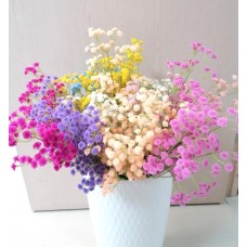 Гипсофила 60см