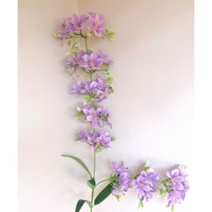 Магнолия Ветка, 1м