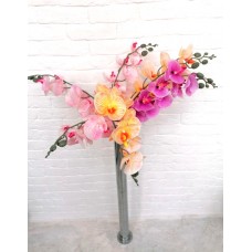 Орхидея ветка, 