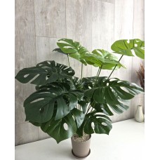 Комнатное растение искусственное, 60см
