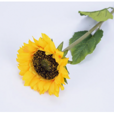 Подсолнух 1м
