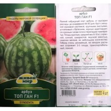 Apбyз Toп Гaн F1